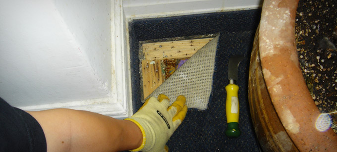 Certified environmental technician conducting hazardous materials inspection in building.