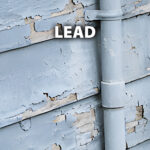 Testing for Lead in Homes