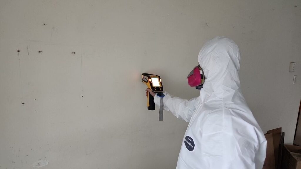 mold testing Abbotsford