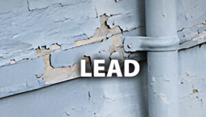 Testing for Lead in Homes