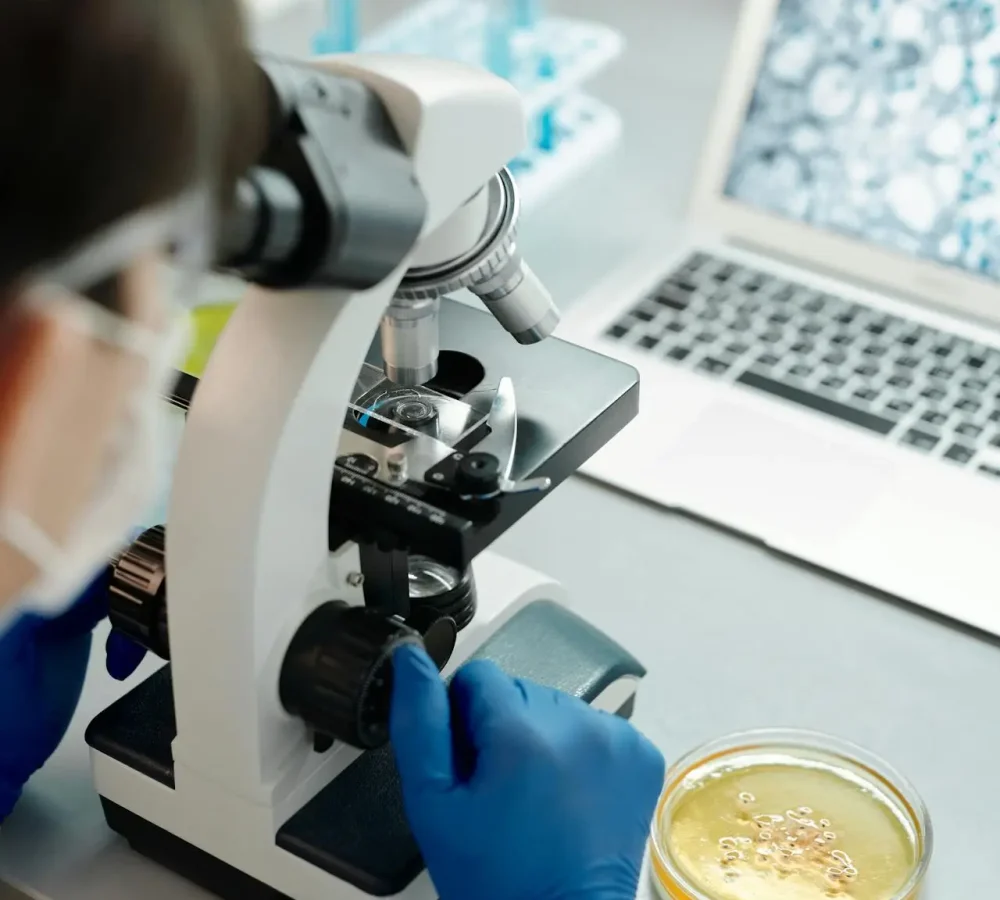 Professional laboratory analysis being performed for an Asbestos Testing Maple Ridge project.