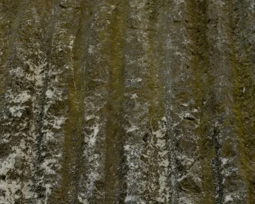 Bulk sampling being conducted during an asbestos inspection for a Mission home renovation project.